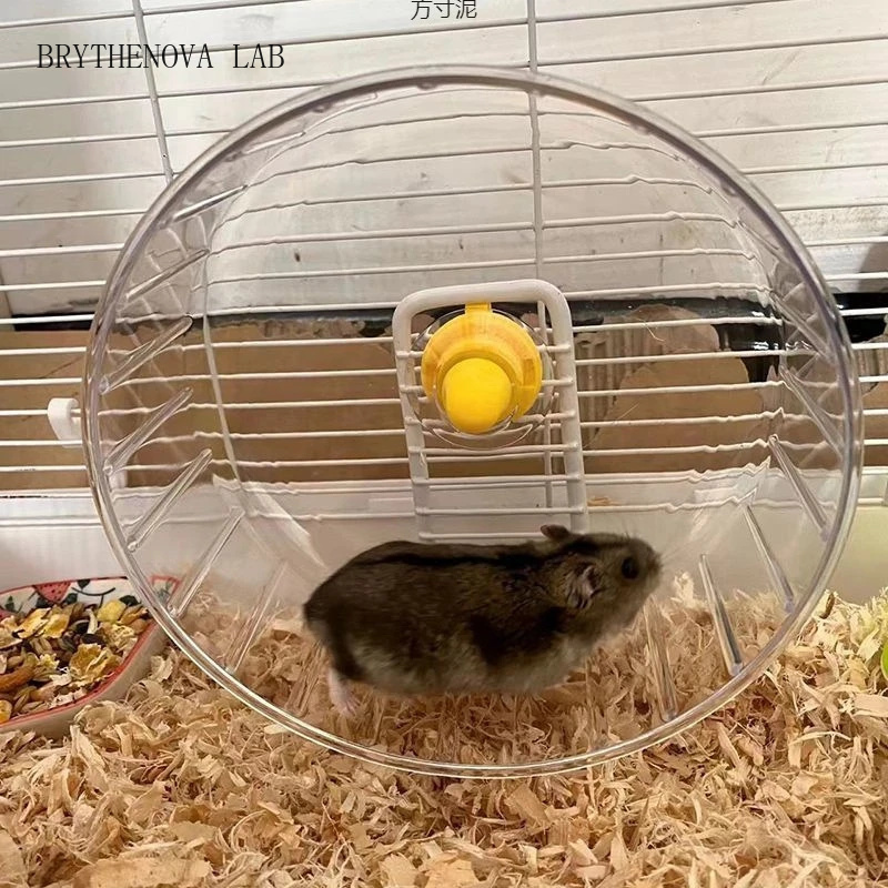 Бесшумное прозрачное колесо дл – обзор и цена Hamster Cage Wheel