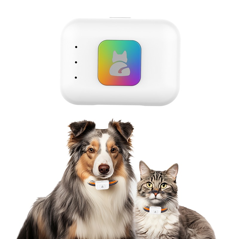 Устройство слежения GPS AGPS д – обзор и цена Pet Supplies Direct