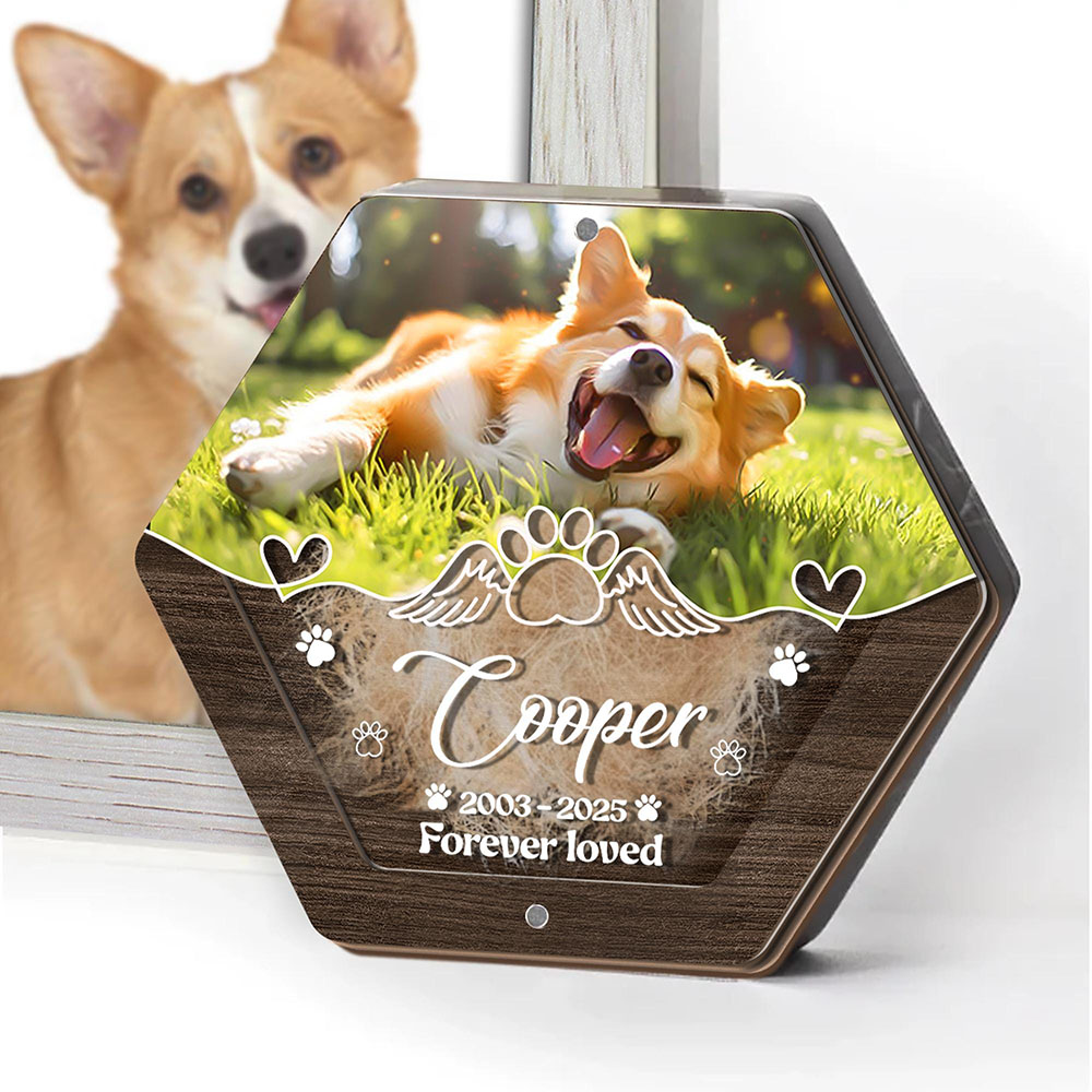 Персонализированное имя, дерев – обзор и цена Pet Supplies Direct