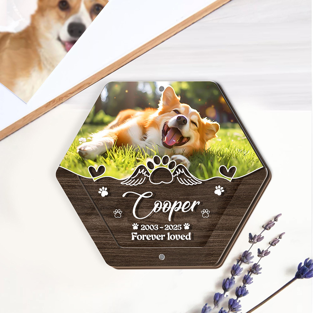Персонализированное имя, дерев – обзор и цена Pet Supplies Direct
