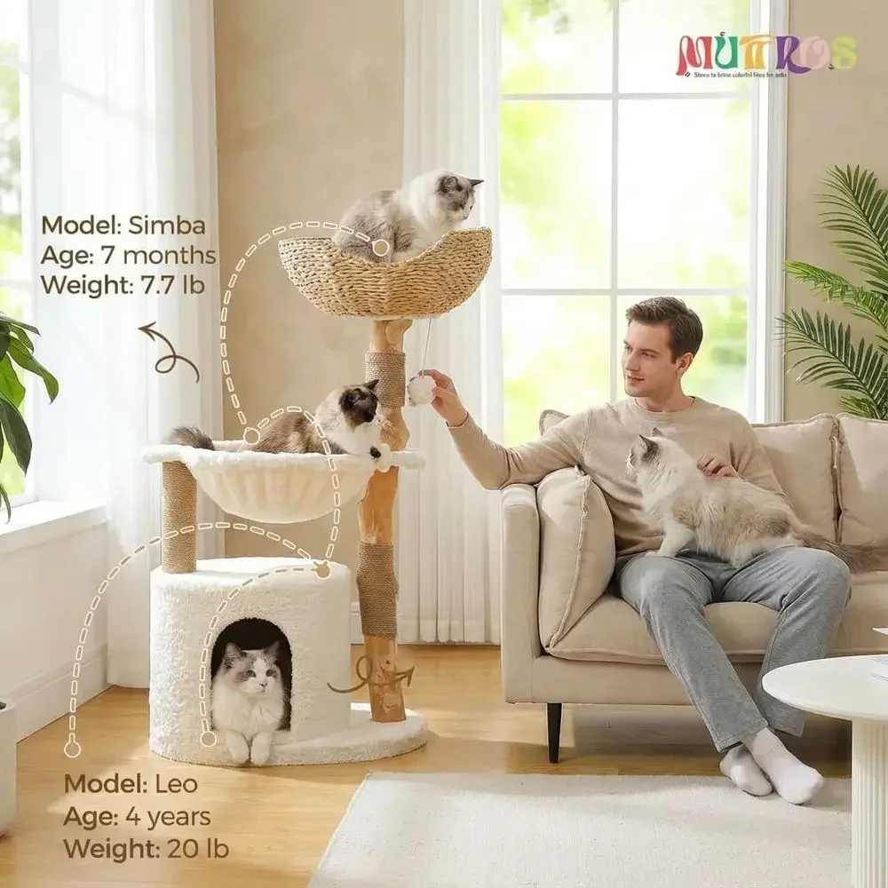 Большое уютное дерево для коше – обзор и цена Cat Scratching Post