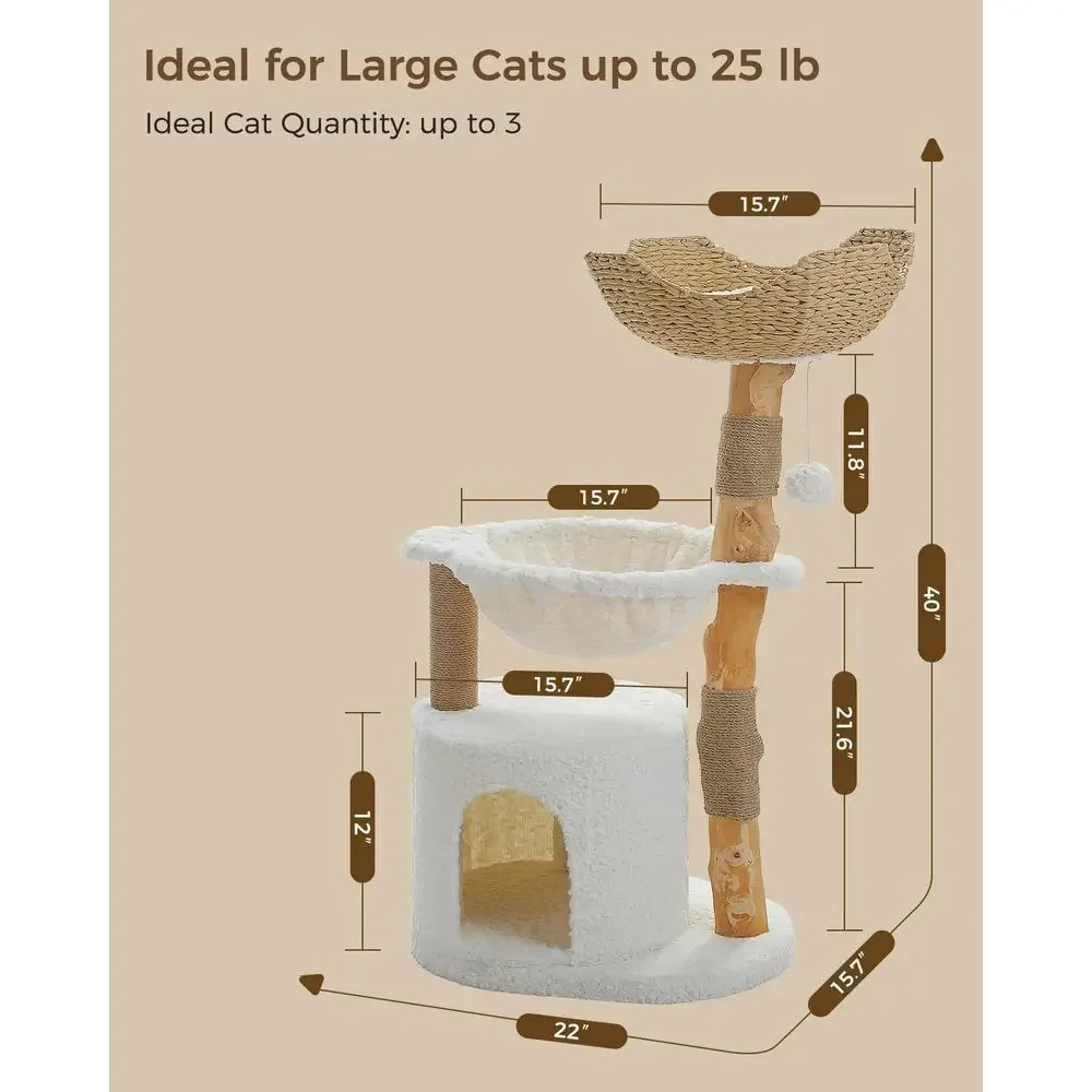 Большое уютное дерево для коше – обзор и цена Cat Scratching Post