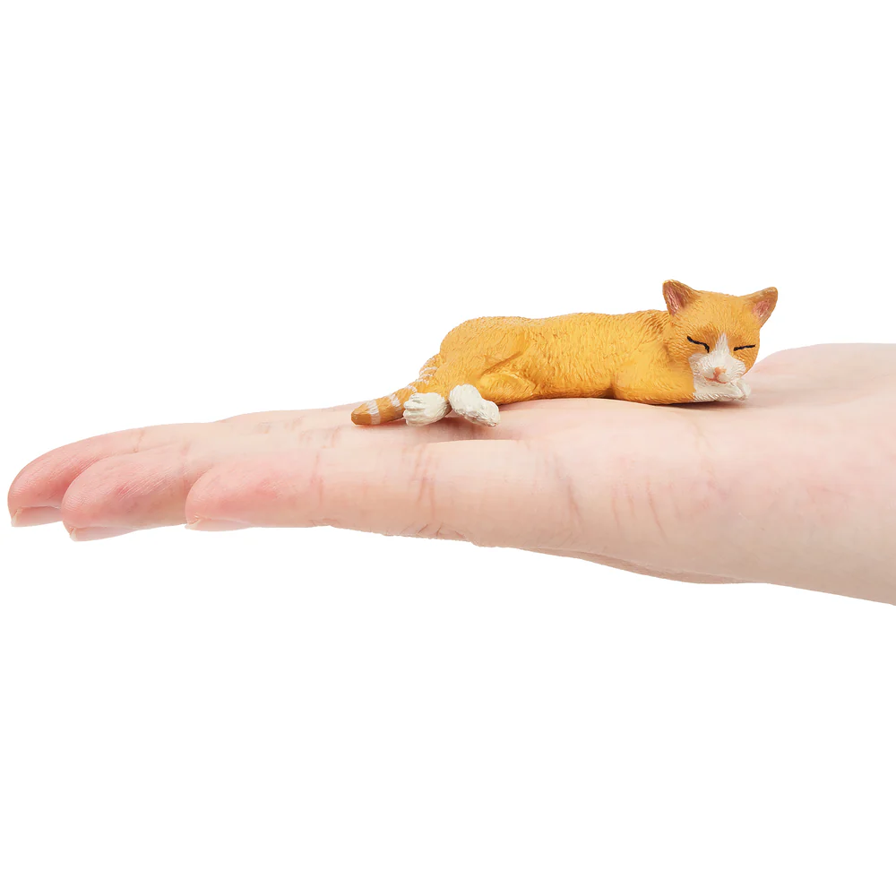 Toymany моделирование лежачий  – обзор и цена Pet Supplies Delivery