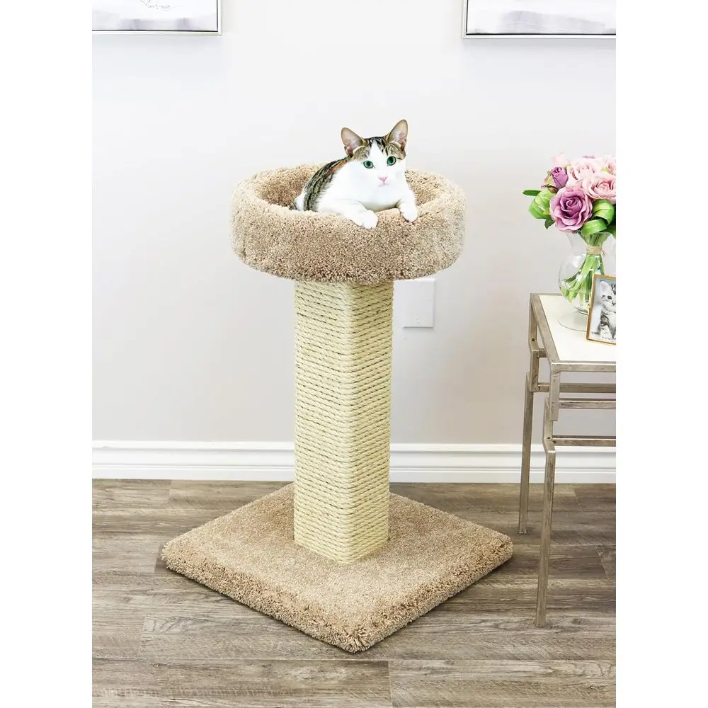 Большая когтеточка для кошек и – обзор и цена Cat Scratching Post