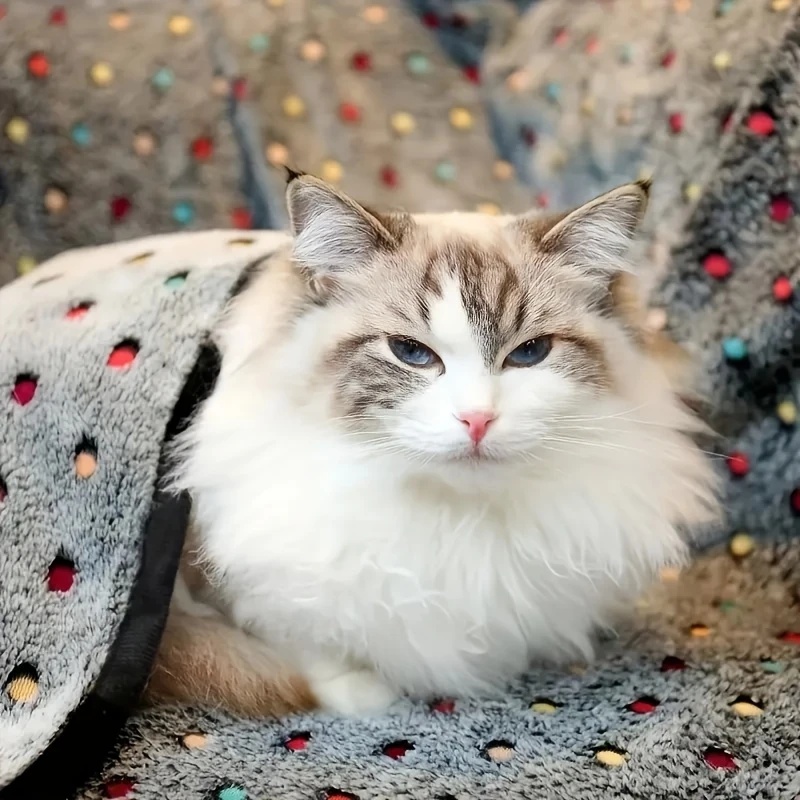 3 шт. мягкое пушистое одеяло д – обзор и цена Pet Supplies Delivery