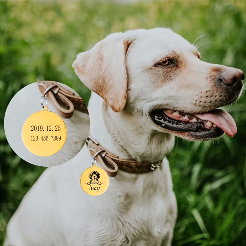 Персонализированные ошейники д – обзор и цена Pet Supplies Direct